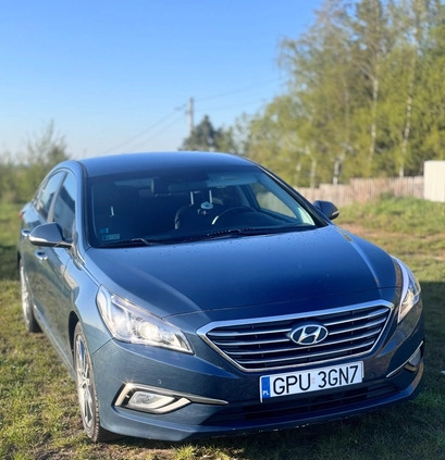 Hyundai Sonata cena 70900 przebieg: 76800, rok produkcji 2016 z Trzcianka małe 67